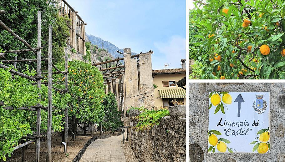 Limone sul Garda in un giorno d'estate: l'itinerario perfetto Limone sul Garda in un giorno d'estate: l'itinerario perfetto