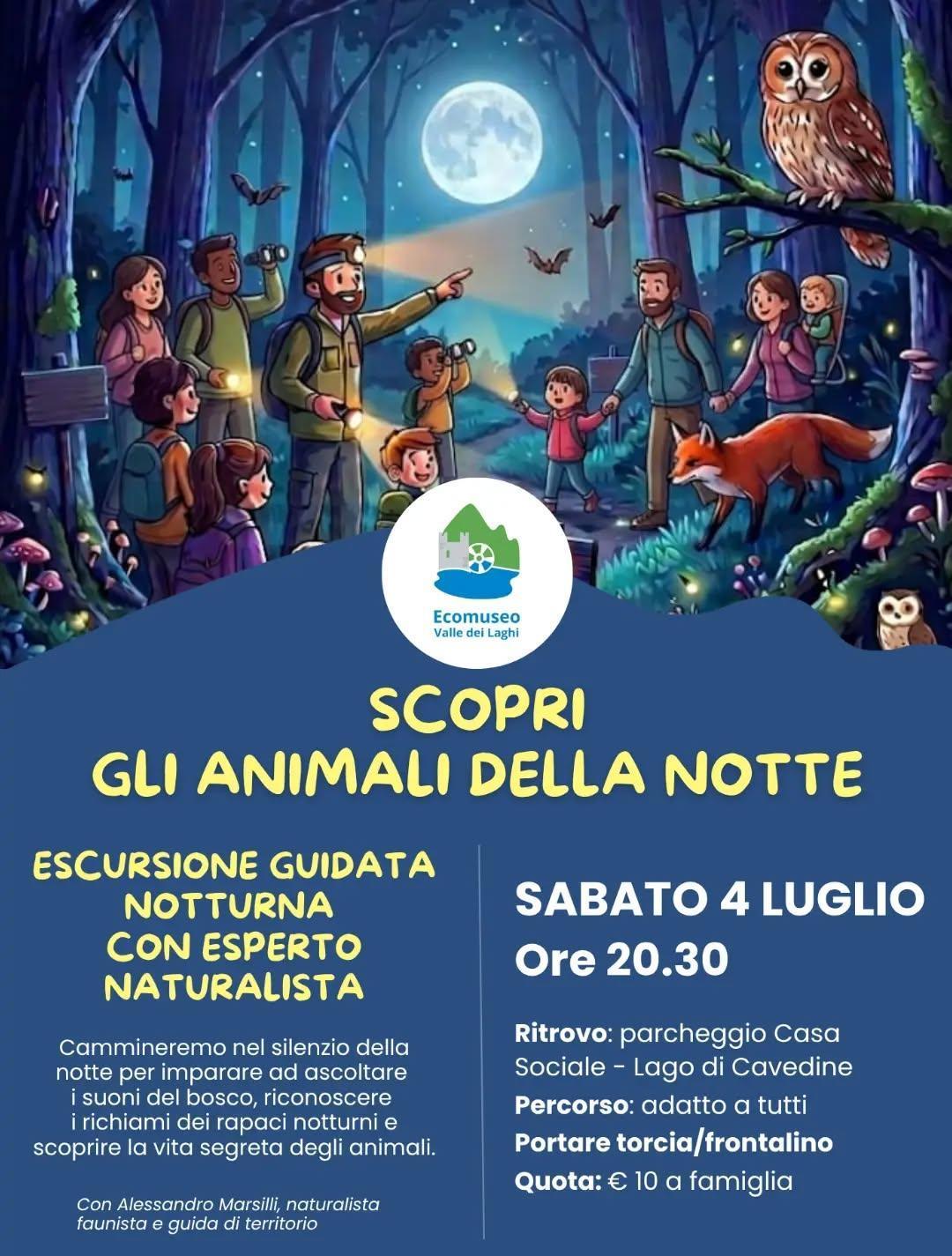 🌙 SCOPRI GLI ANIMALI DELLA NOTTE 🦇