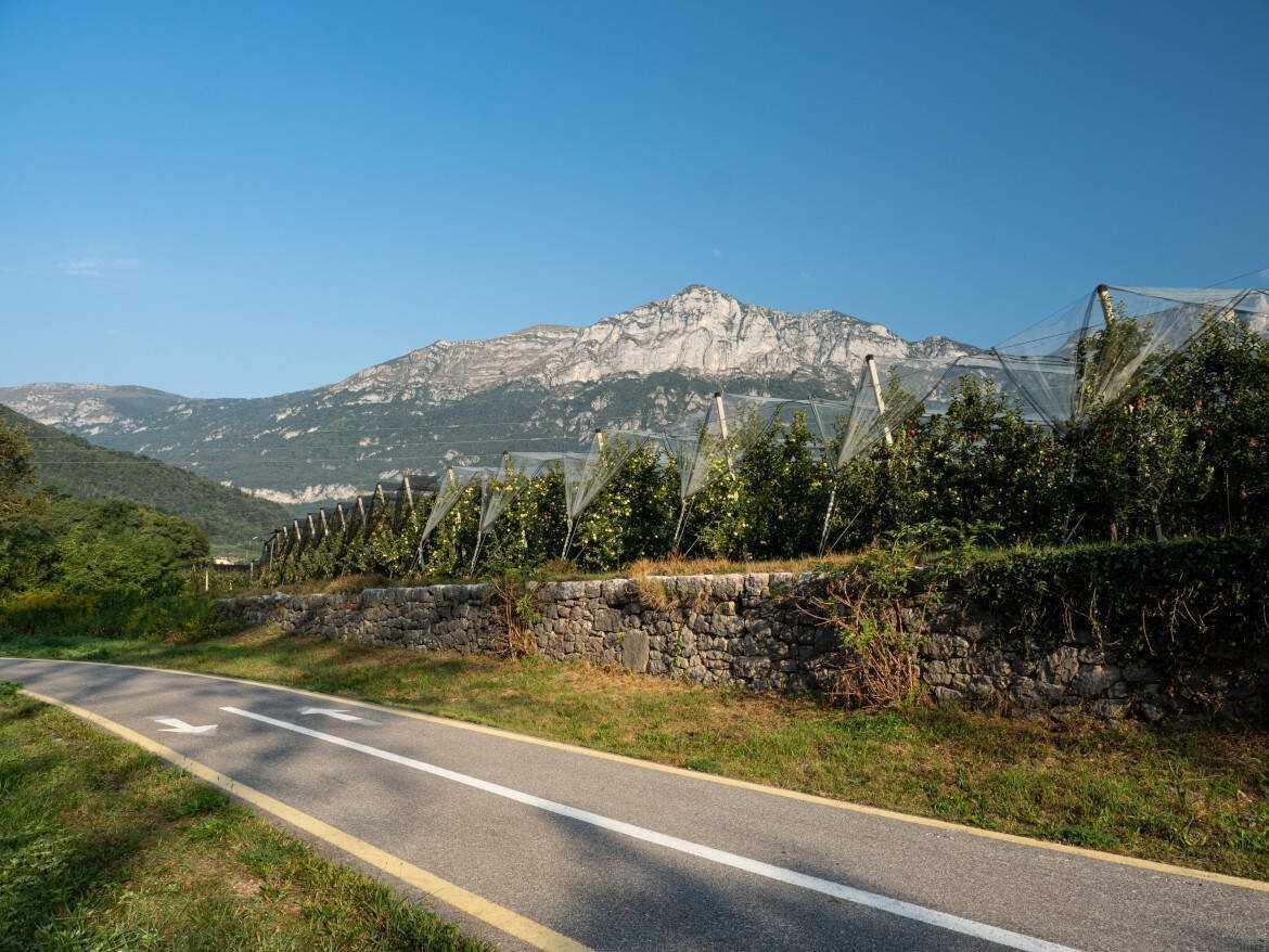 L'Anello della Valle dei Laghi: da Arco a Toblino e Cavedine L'Anello della Valle dei Laghi: da Arco a Toblino e Cavedine