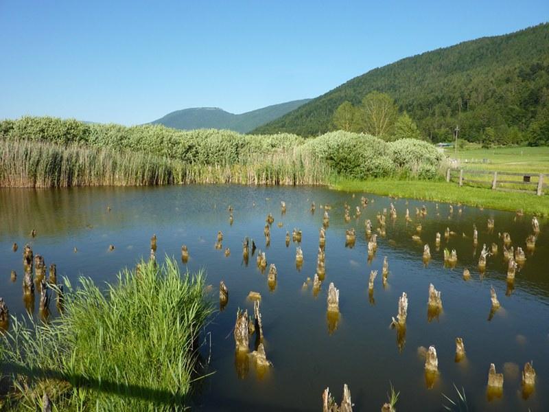 La Riserva della Biosfera UNESCO in Valle di Ledro 🌿