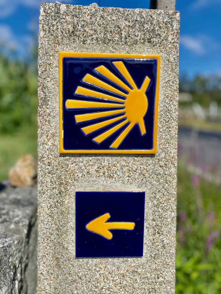 9BD049E2-04D2-4B9B-85D0-FEED1BD844E7