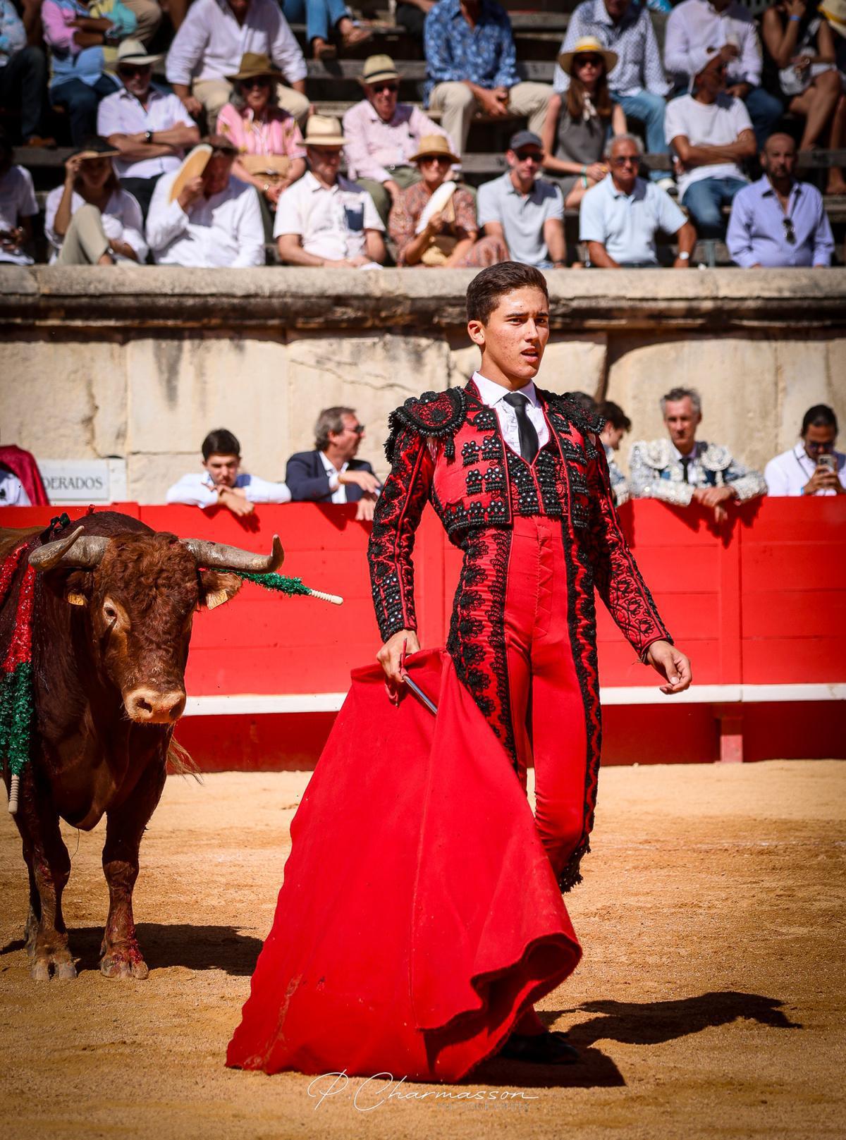 Novillada de la Cape d'Or Novillada de la Cape d'Or