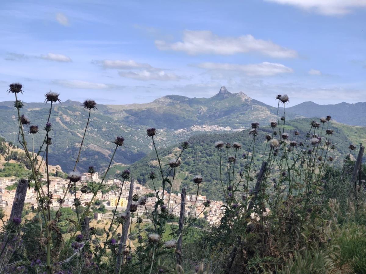 Altare Lunisolare - Pizzo Lucerno Tripi-Abakainon