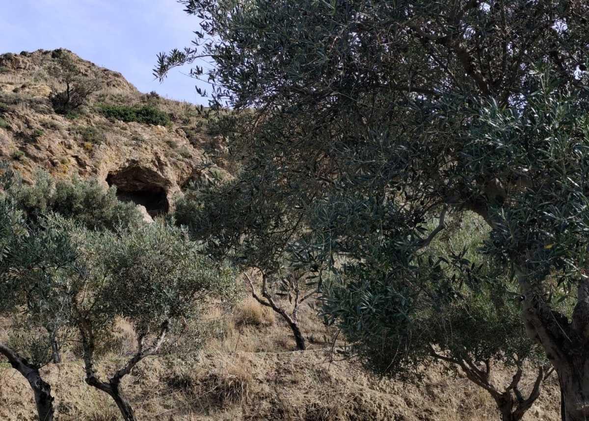 Le tombe preistoriche di Tripi-Abakainon "i Purtussi" Le tombe preistoriche di Tripi-Abakainon "i Purtussi"