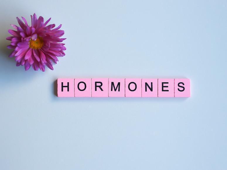 Embrace Menopause with Support: Weigh the Benefits of Hormone Therapy Embrace Menopause with Support: Weigh the Benefits of Hormone Therapy