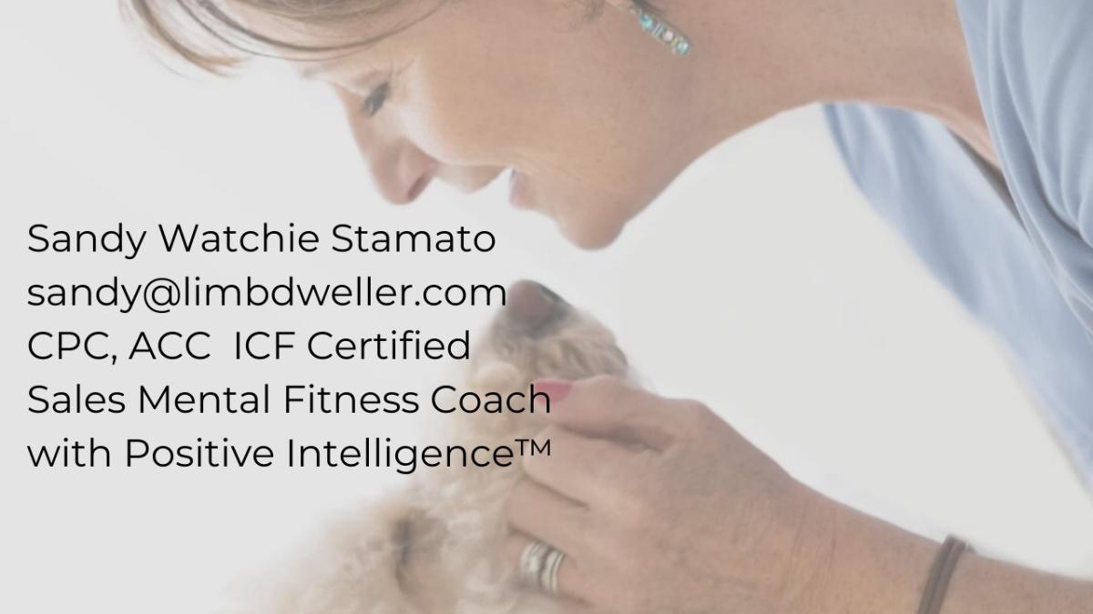 Sandy Watchie Stamato - Sales Mental Fitness Coach 