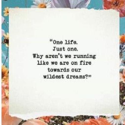 Your Wildest Dreams! Your Wildest Dreams!