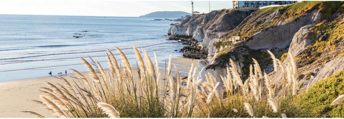 Makayla Visuals ~ Photography Makayla Visuals ~ Photography