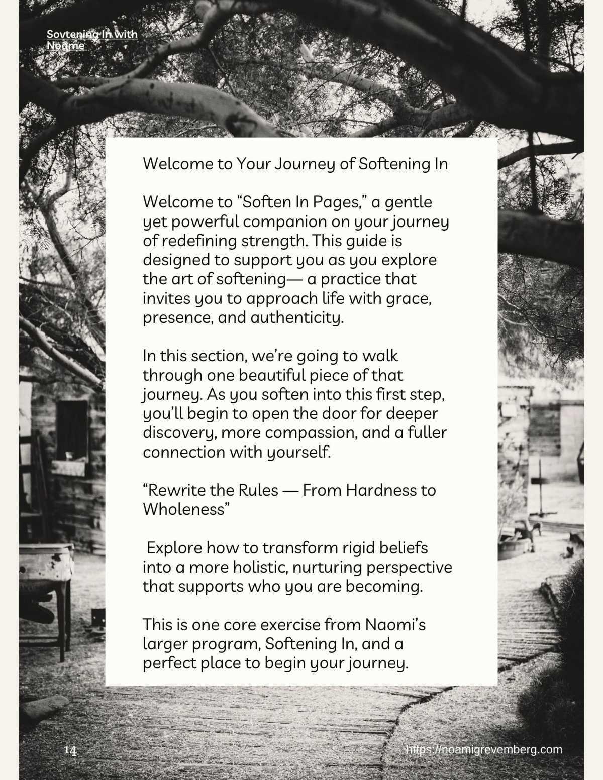 Welcome to Your Journey of Softening In with Noami Grevemberg Welcome to Your Journey of Softening In with Noami Grevemberg