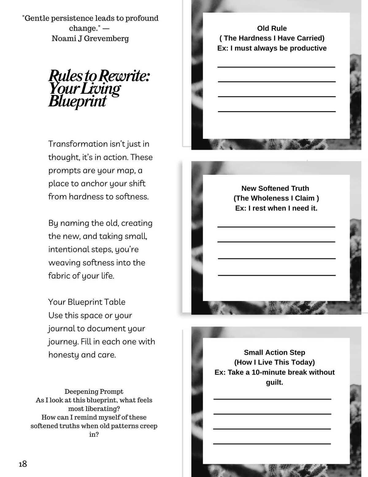 Welcome to Your Journey of Softening In with Noami Grevemberg Welcome to Your Journey of Softening In with Noami Grevemberg