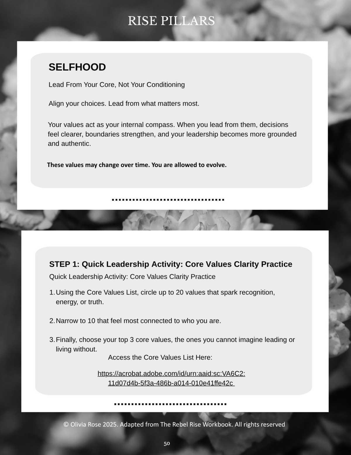 Authentic Leadership in Action