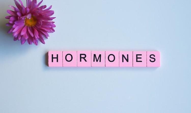 Embrace Menopause with Support: Weigh the Benefits of Hormone Therapy