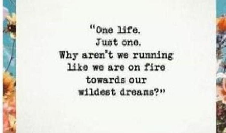 Your Wildest Dreams!