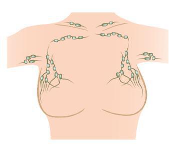 Les différents traitements Les différents traitements