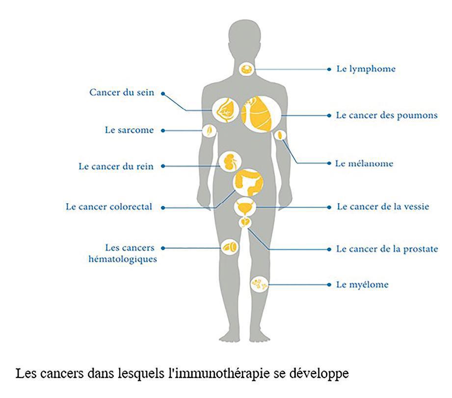 Les différents traitements Les différents traitements