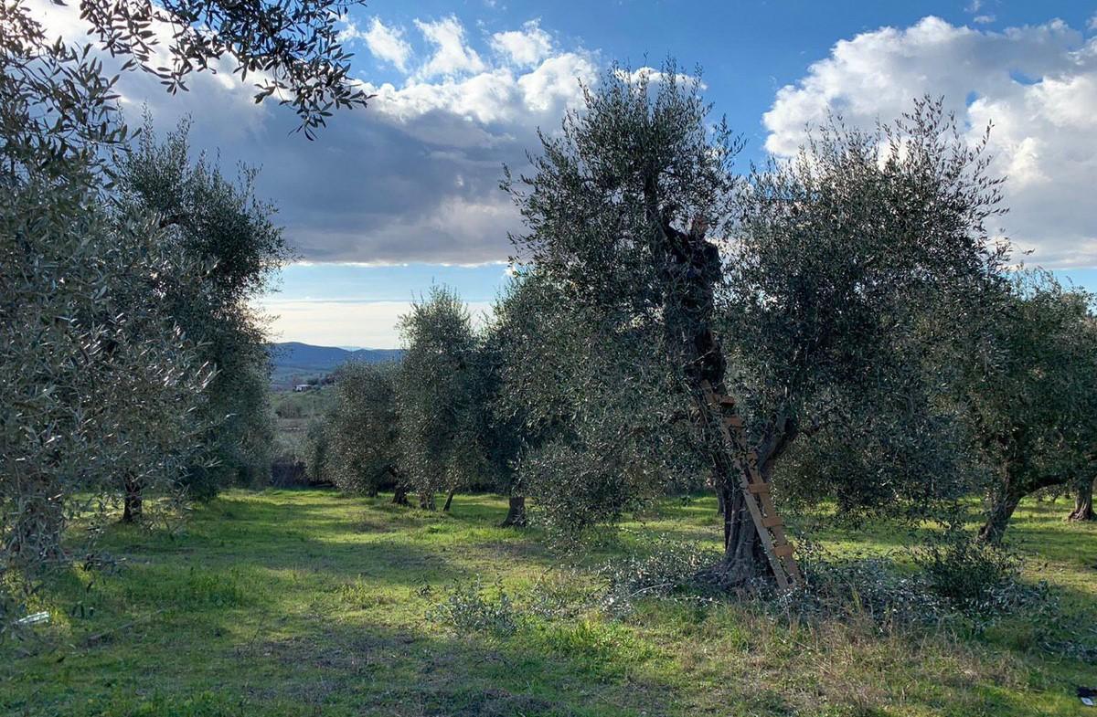 Chi siamo