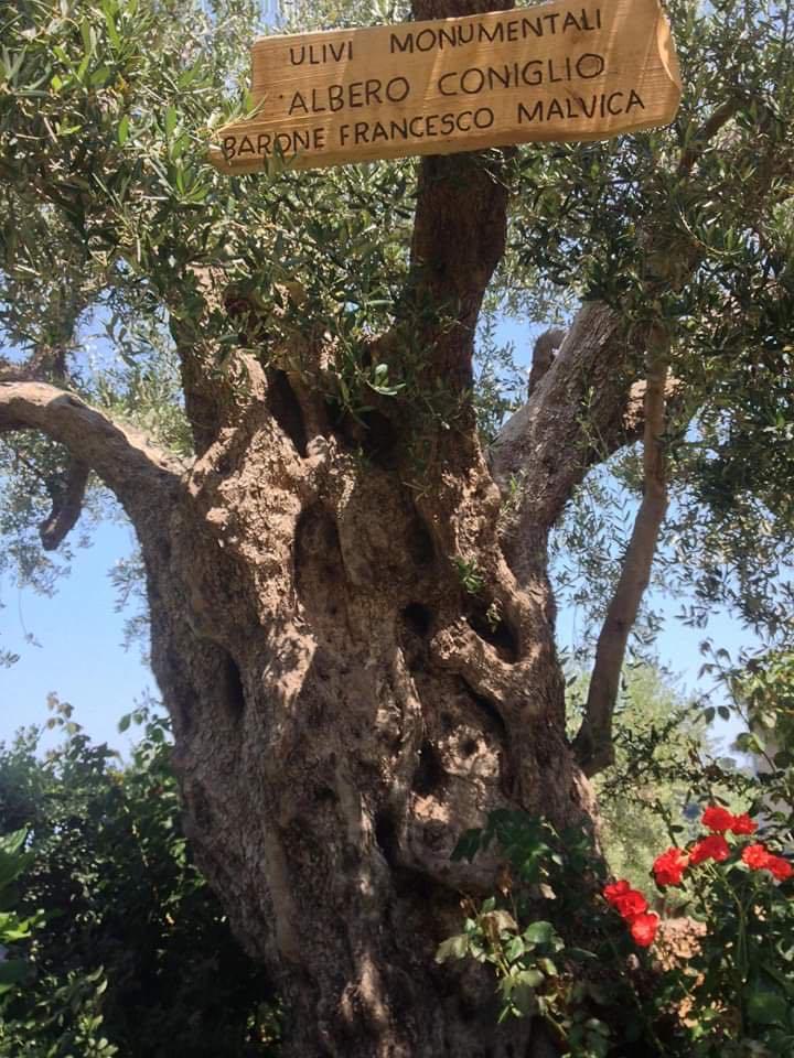 Itinerario "I Luoghi del Gattopardo" - "The Leopard's Places" Itinerary