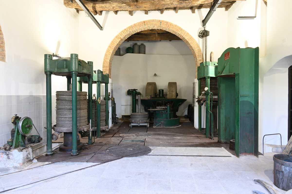 Museo dell'Oliva "Minuta" storia e tradizione dell'olivicoltura dei monti "Nebrodi" - Olive Museum "Minuta" - History and Tradition of Olive Cultivation in the Nebrodi Mountains