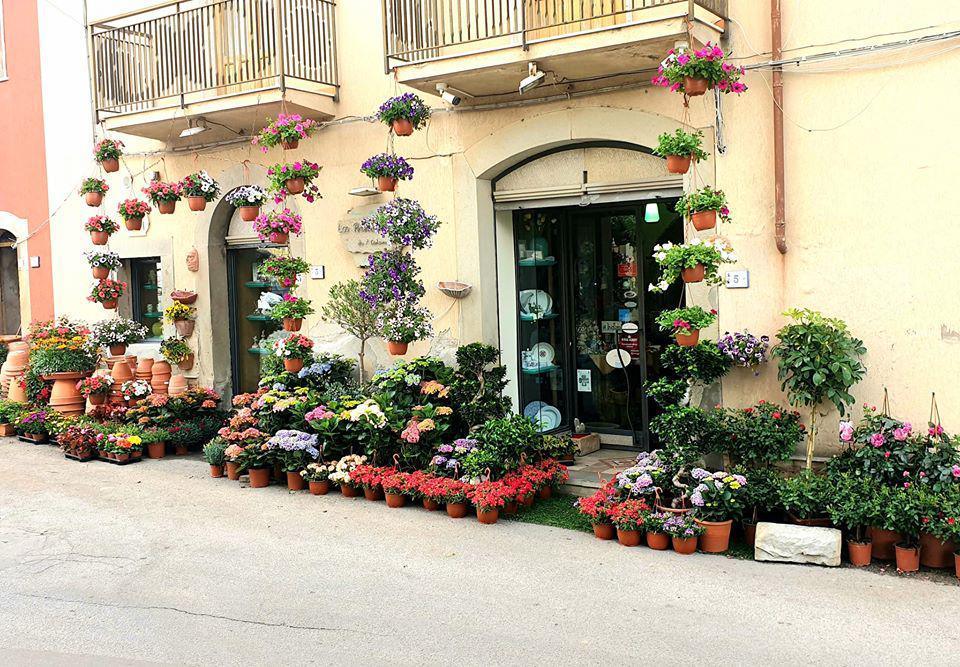 La Primavera di Tindaro Calamunci