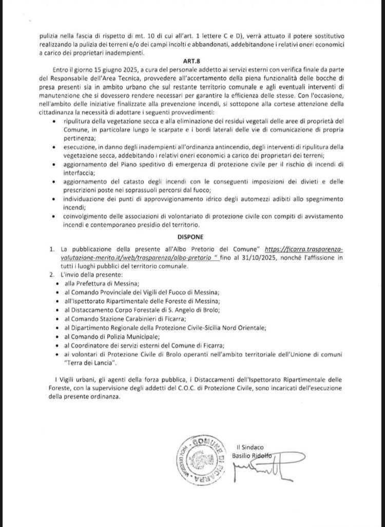 Ordinanza n.27 del 20.05.2025