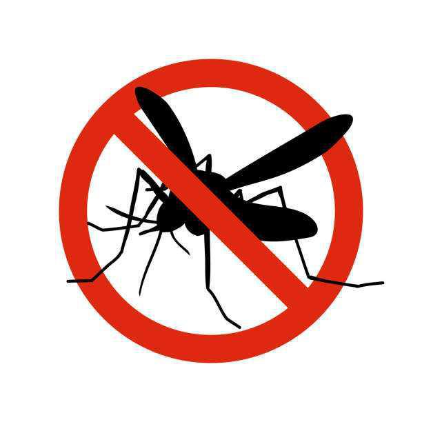 Disinfestazione del centro abitato e frazioni