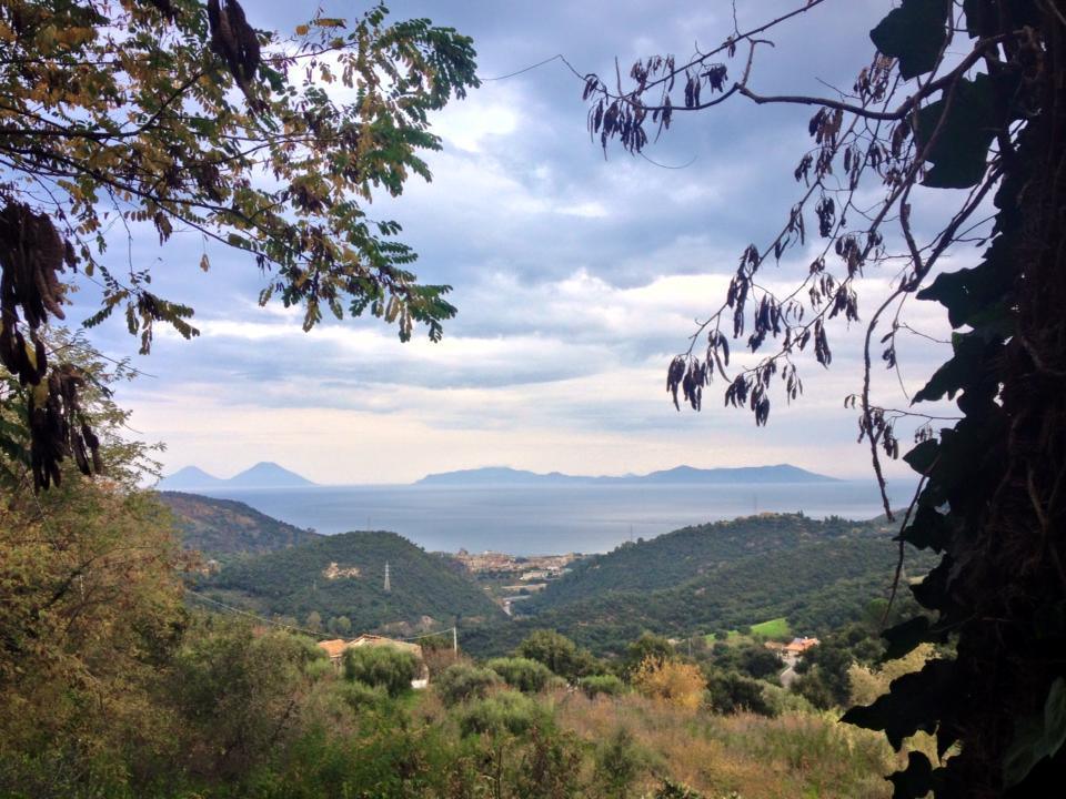 Panorami