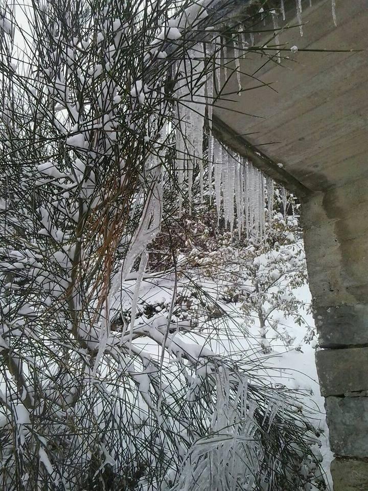 I Cannileri
