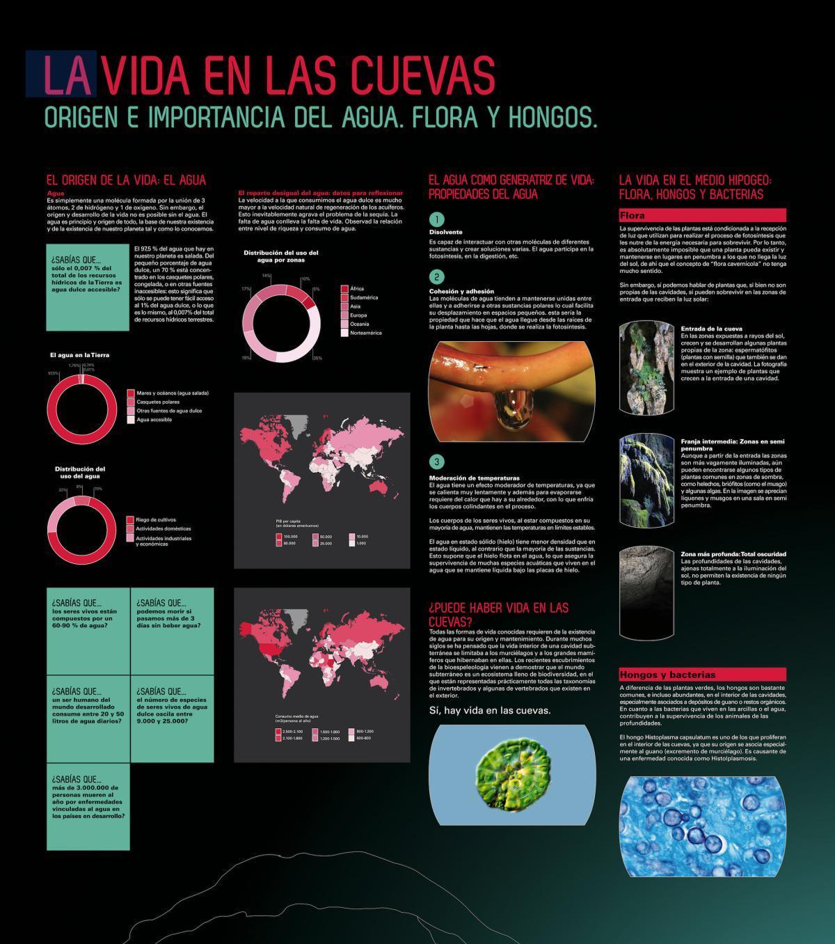 La Cueva de los Sentidos