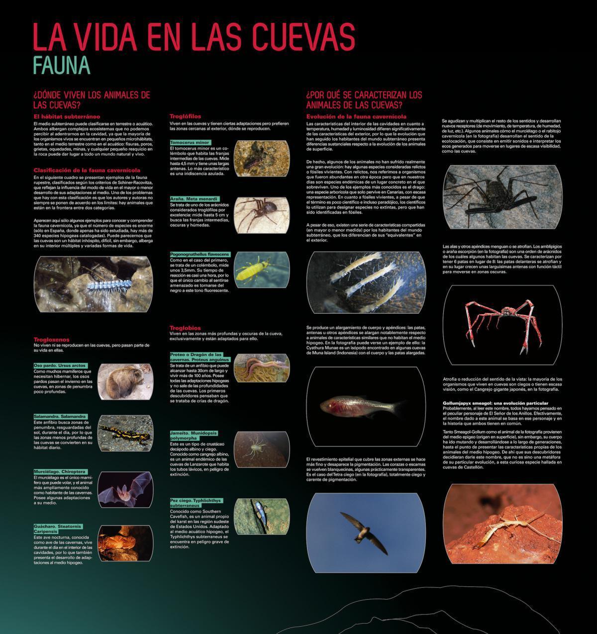 La Cueva de los Sentidos