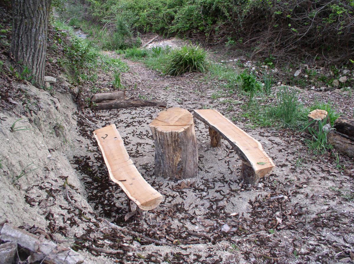 2. Ruta del agua