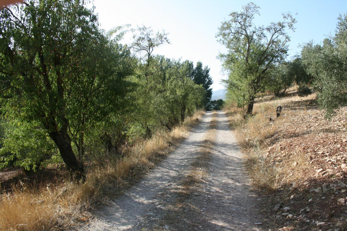 4. Ruta de los Ríos y su hábitats