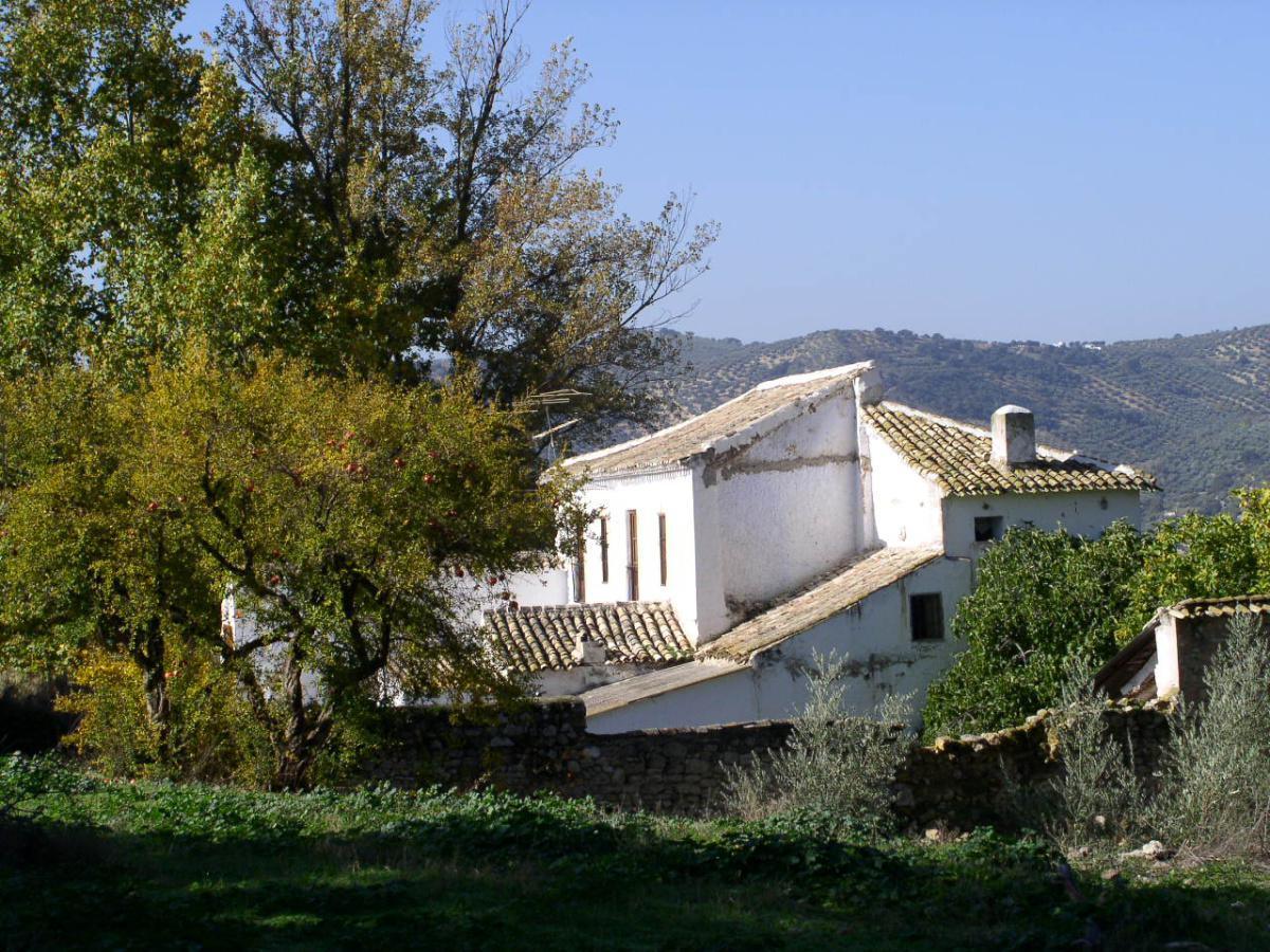 5. Ruta del pastoreo