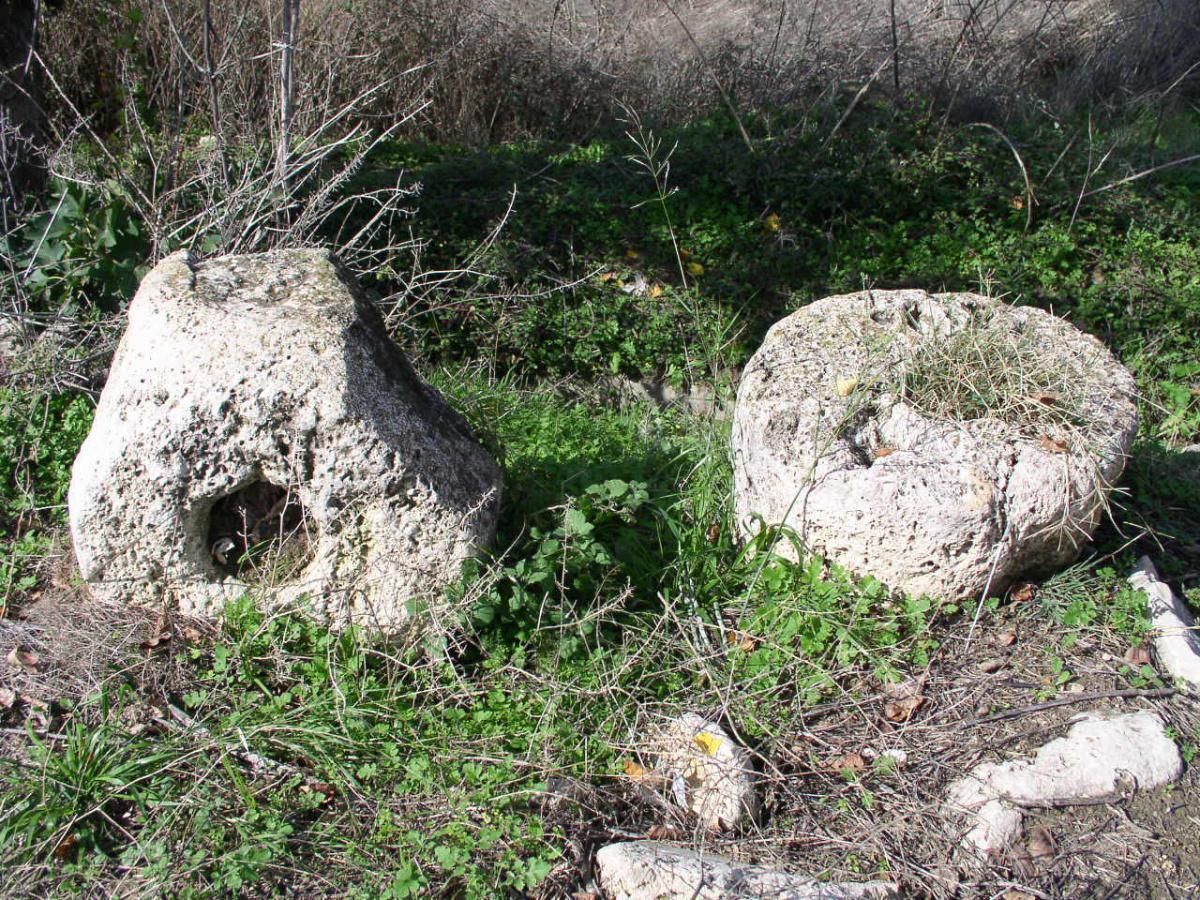 5. Ruta del pastoreo