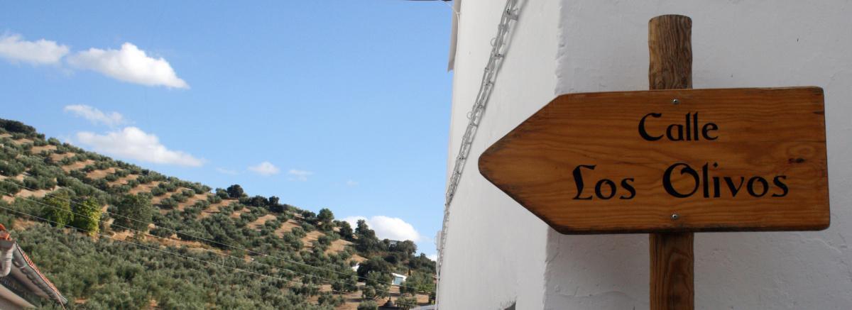 7. Ruta de la vivienda