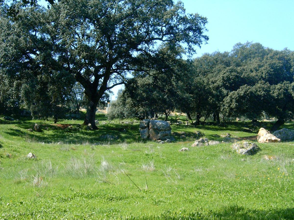 9. Ruta del Olivar y el Aceite