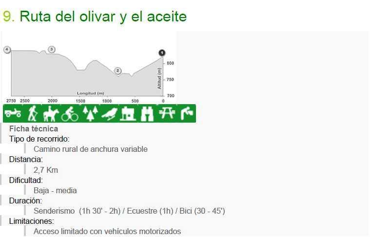 9. Ruta del Olivar y el Aceite