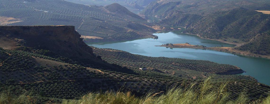 12b. Rutas por el Despoblado de Fuentes de Cesna : MIRADORES