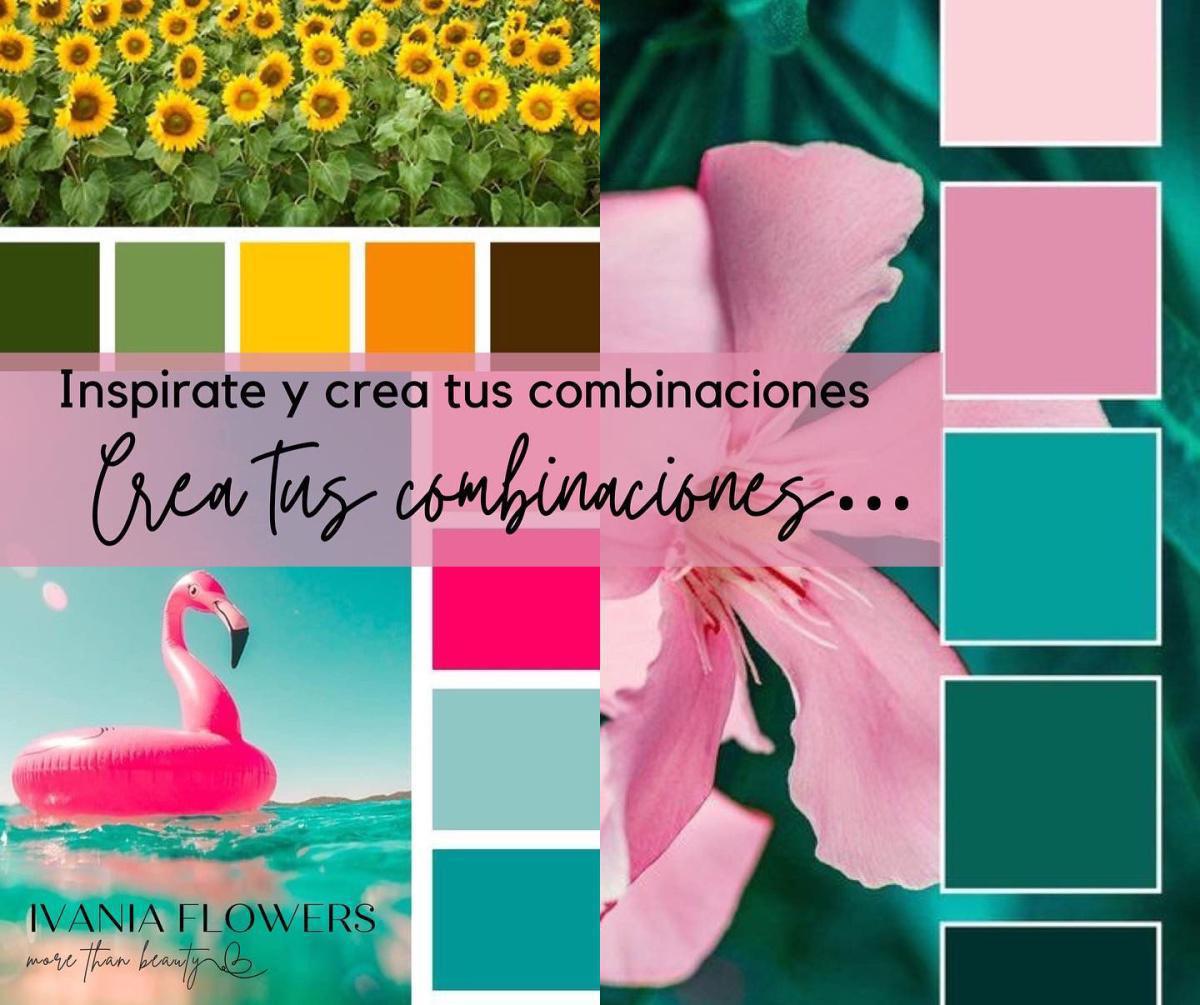 Cuál es el color ideal para mi negocio?