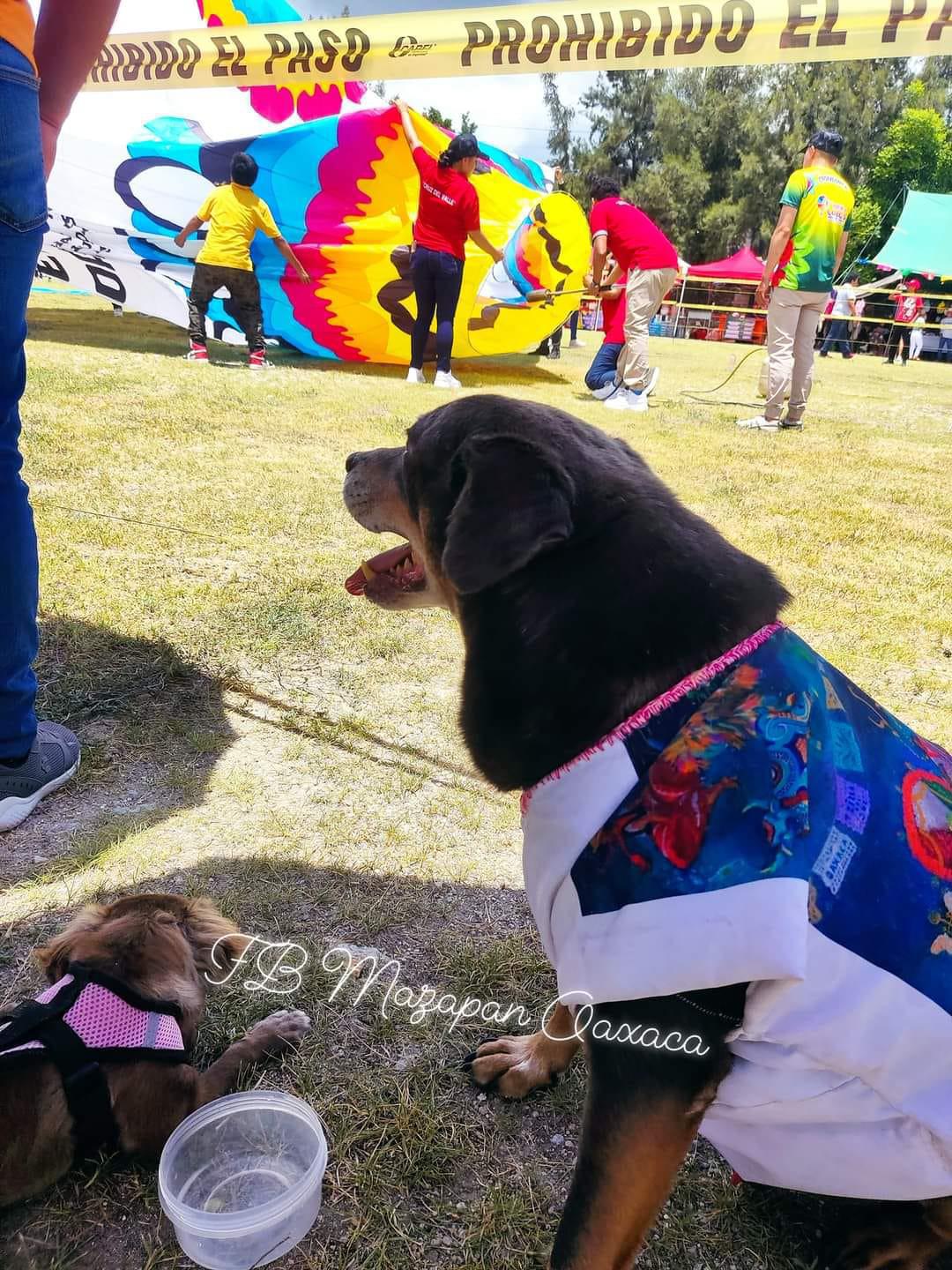 18vo FESTIVAL DE GLOBOS DE CANTOLLA 18vo FESTIVAL DE GLOBOS DE CANTOLLA