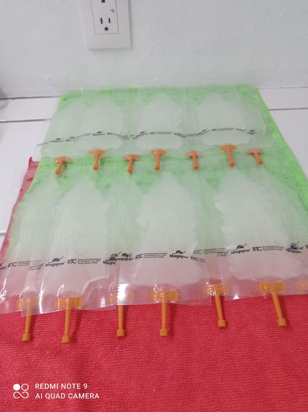 RANCHO EL VERRACO RANCHO EL VERRACO