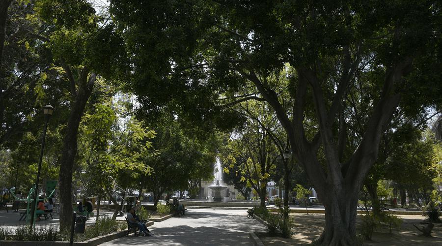 PARQUE JUÁREZ EL LLANO PARQUE JUÁREZ EL LLANO