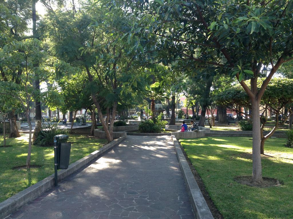 JARDÍN CONZATTI JARDÍN CONZATTI