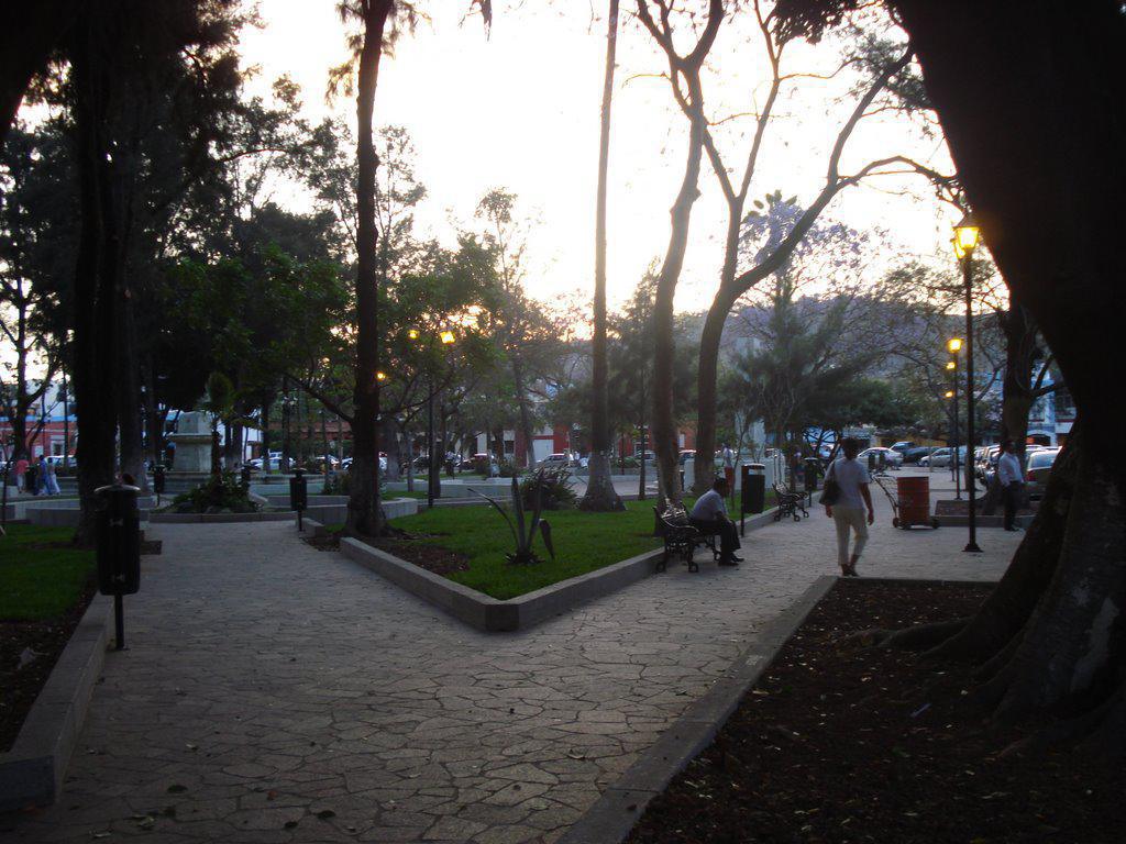 JARDÍN CONZATTI JARDÍN CONZATTI