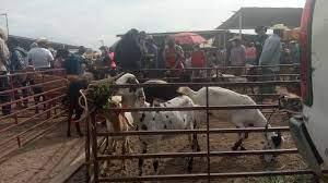 OCOTLÁN DE MORELOS OCOTLÁN DE MORELOS