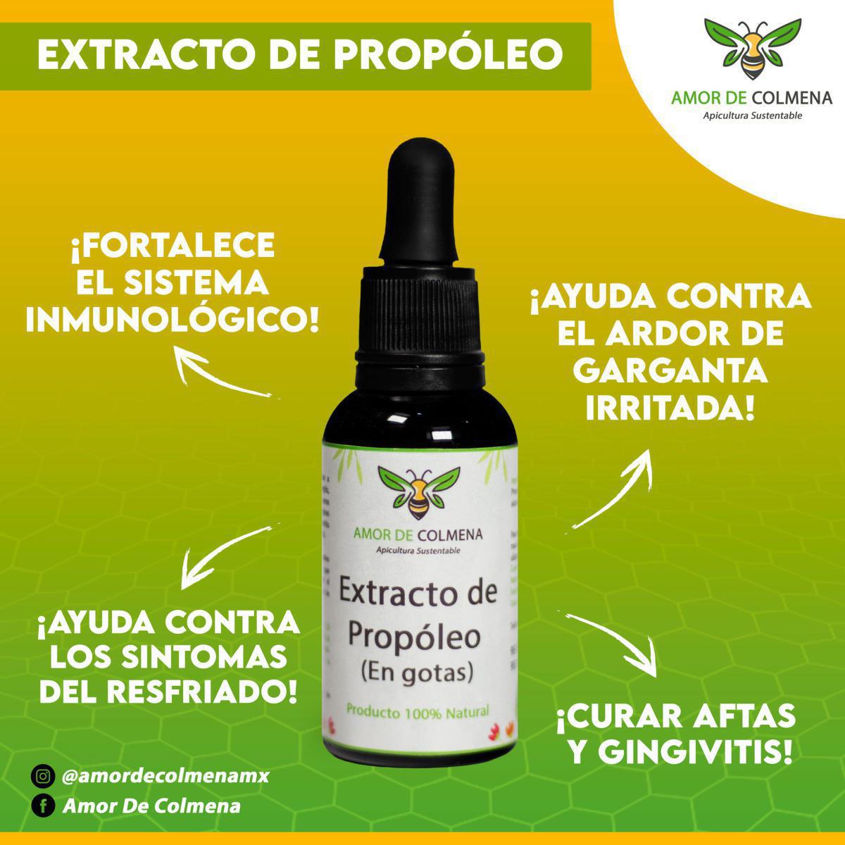 AMOR DE COLMENA AMOR DE COLMENA