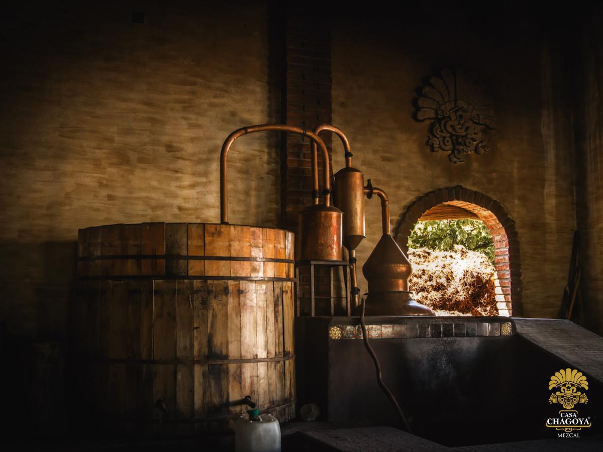 MEZCAL CASA CHAGOYA MEZCAL CASA CHAGOYA