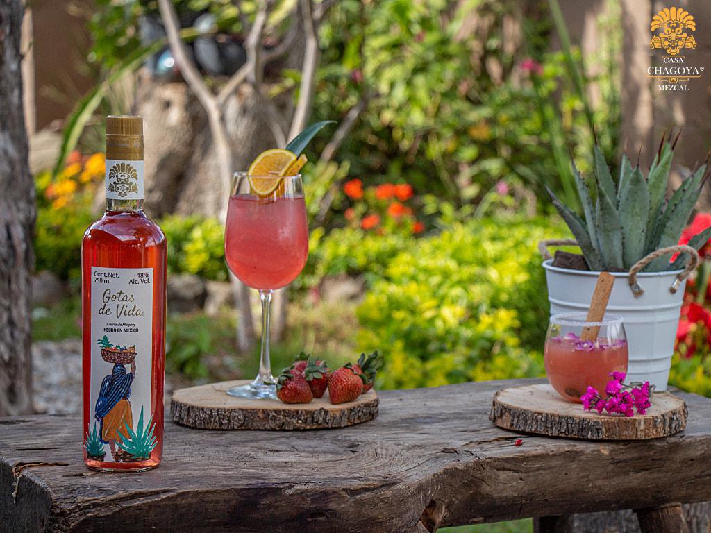 MEZCAL CASA CHAGOYA MEZCAL CASA CHAGOYA