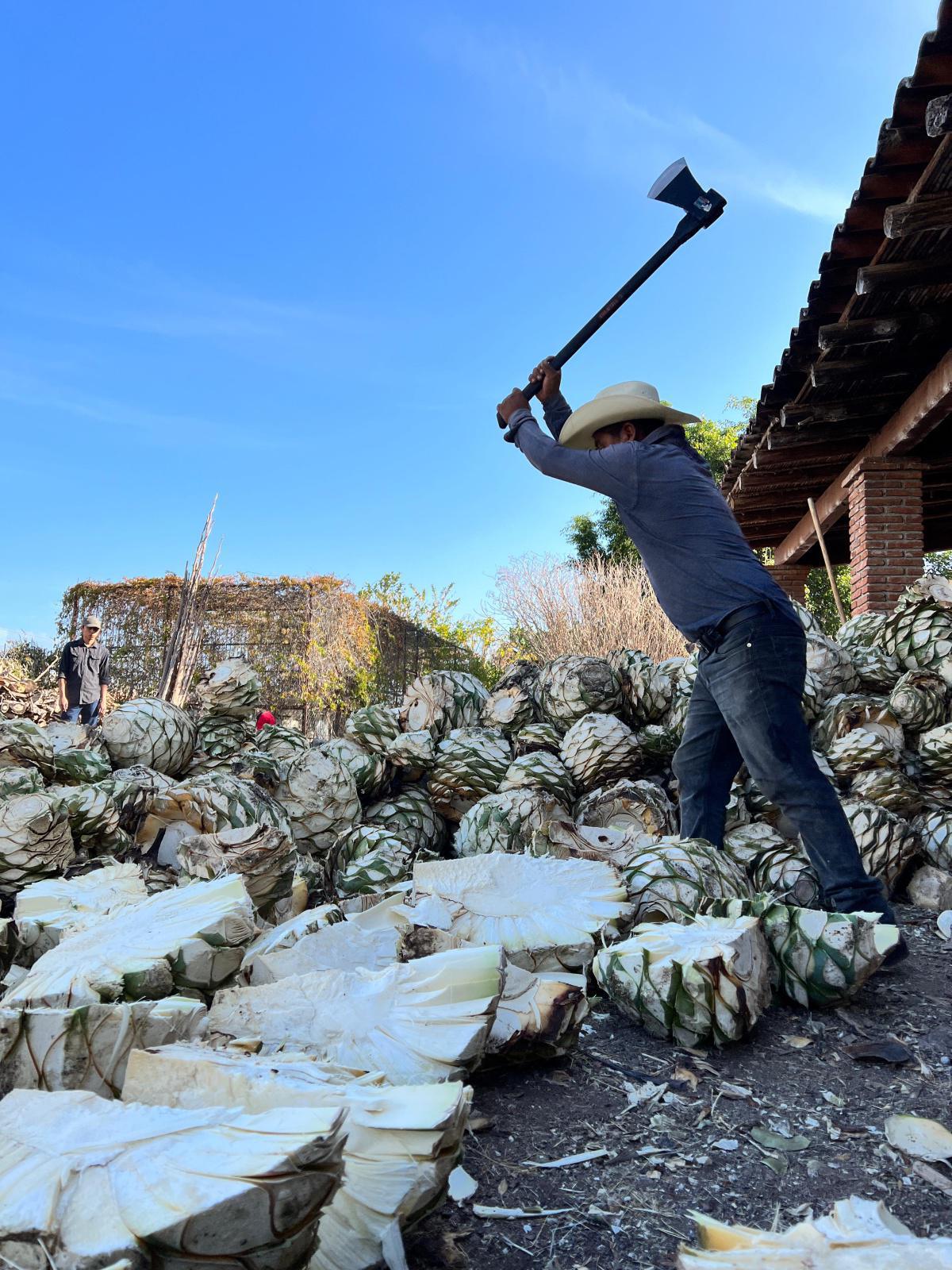 MEZCAL CASA CHAGOYA MEZCAL CASA CHAGOYA