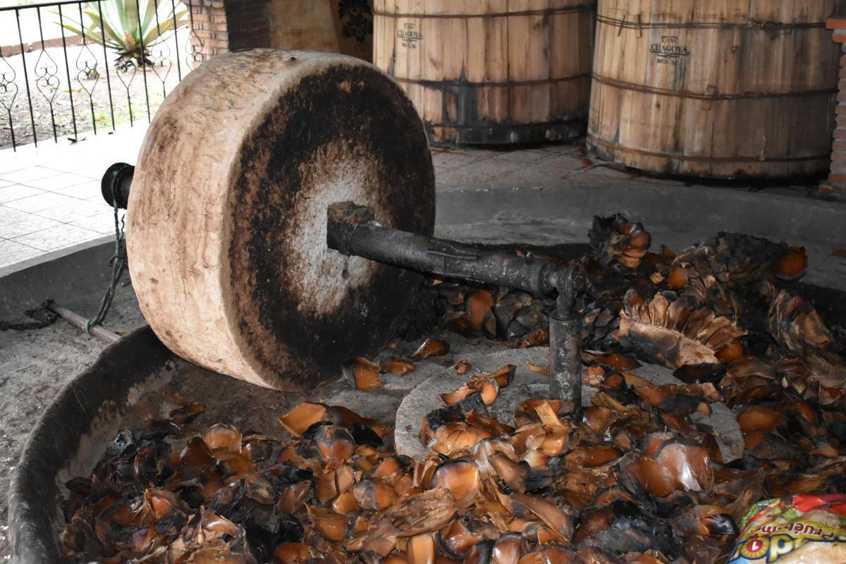 MEZCAL CASA CHAGOYA MEZCAL CASA CHAGOYA