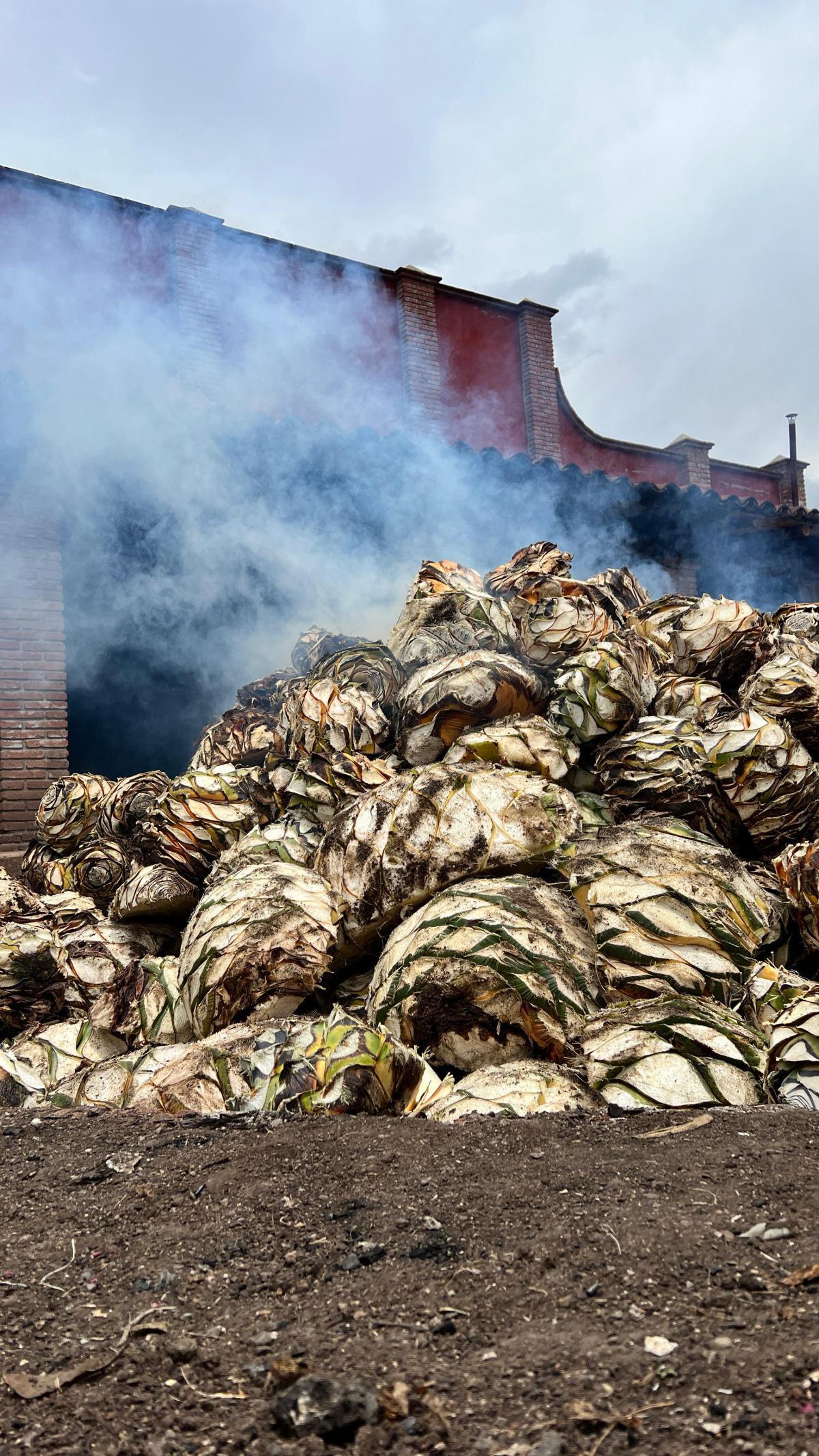 MEZCAL CASA CHAGOYA MEZCAL CASA CHAGOYA